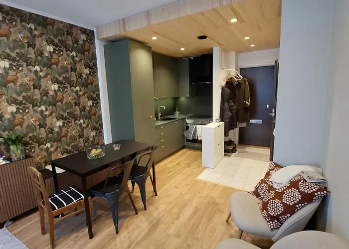 Rovaniemi Traveller\'S Nest